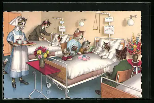 AK Katzen beim Besuch im Krankenhaus