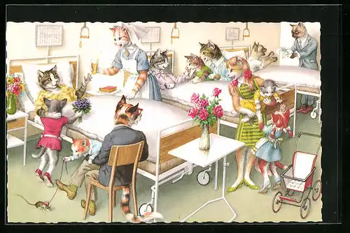 AK Katzen beim Besuch im Krankenhaus