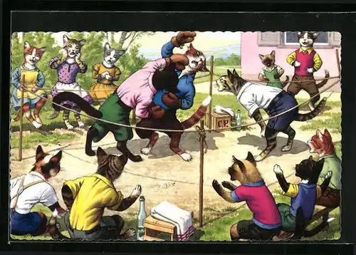 AK Katzen beim Kampf im Boxring