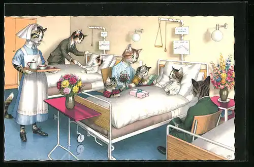 AK Katzen bei Besuch im Krankenhaus