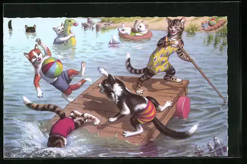 AK Katzen beim Baden im See