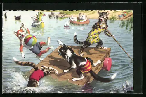 AK Katzen beim Baden im Sommer