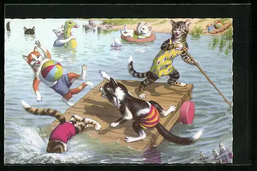 AK Katzen beim Baden im Sommer