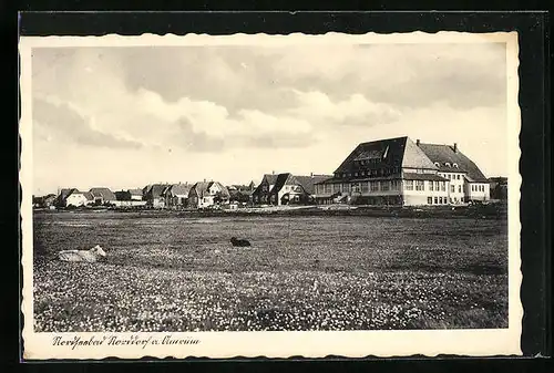 AK Norddorf /Amrum, Ortsansicht vom Feld aus, mit Schafen