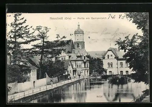 AK Neustadt (Orla), Partie am Gamsenteich