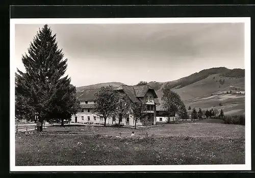 AK Bernau /Schwarzw., Gasthof zum Rössle vor Bergen