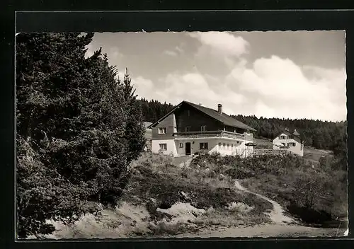 AK Bubenbach b. Neustadt, Hotel Sommerberg