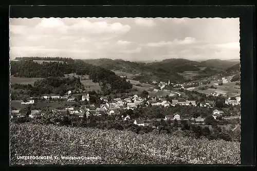 AK Untereggingen /Waldshut, Totalansicht des Ortes