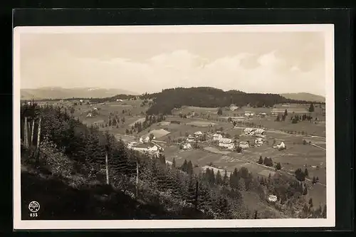 AK Falkau /Schwarzwald, Ortspartie mit dem Feldberg