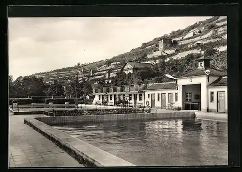 AK Freyburg /Unstrut, Stadtbad mit Häuseransichten