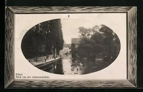 AK Erfurt, Blick von der Lehmannsbrücke, Jungs im Wasser