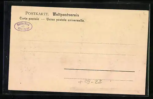 Relief-AK Weimar, Ansicht des Goethehauses mit Porträt