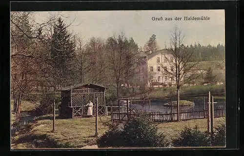 AK Langebrück i. Sa., Gasthof Haidemühle