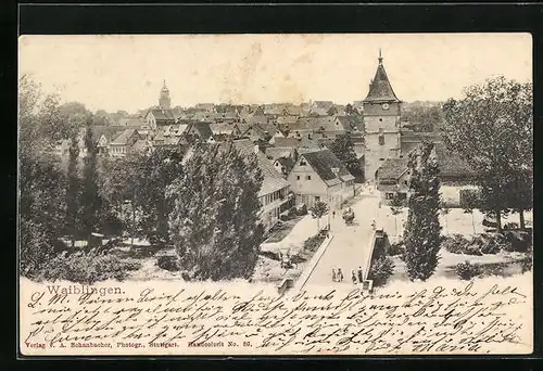 AK Waiblingen, Totalansicht mit Tor