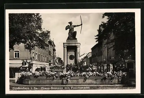AK Grossenhain i. Sa., Diana-Brunnen mit Frauenmarkt
