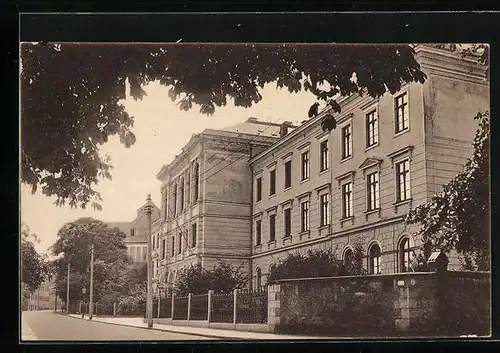 AK Freiberg, Gymnasium Albertinum mit Strassenpartie