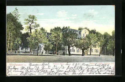 AK Mühlhausen i. Thür., Weisses Haus im Grünen