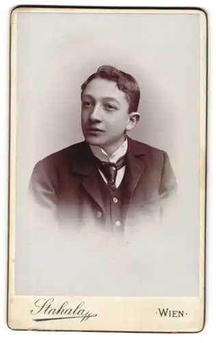 Fotografie Stahala, Wien-Josefstadt, Langegasse 46, Junger Herr im Anzug mit Krawatte