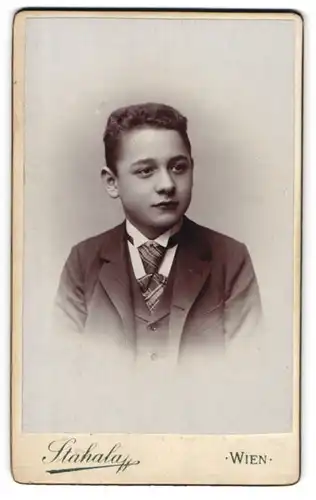 Fotografie Stahala, Wien-Josefstadt, Langegasse 46, Junger Mann im Anzug mit Krawatte