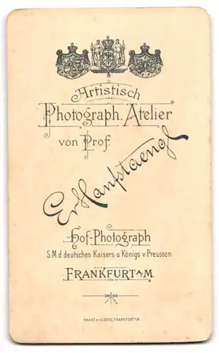 Fotografie E. Hanfstaengl, Frankfurt a. M., Junge Dame mit Hochsteckfrisur