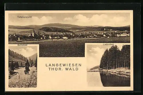 AK Langwiesen /Thür. Wald, Totalansicht des Ortes