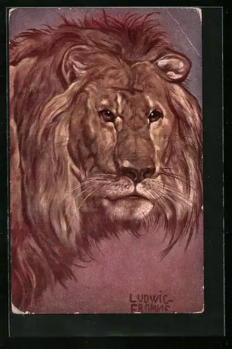 Künstler-AK Ludwig Fromme: Männlicher Löwe mit prächtiger Mähne