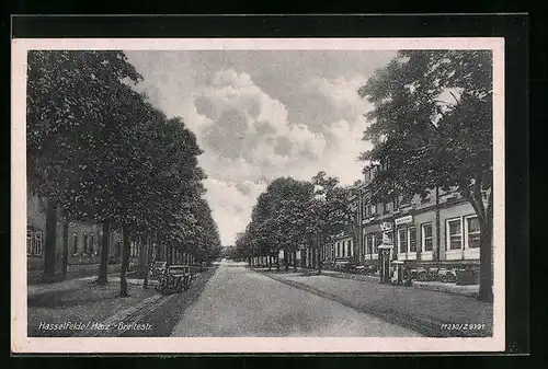 AK Hasselfelde /Harz, Parkende Autos an einer Allee