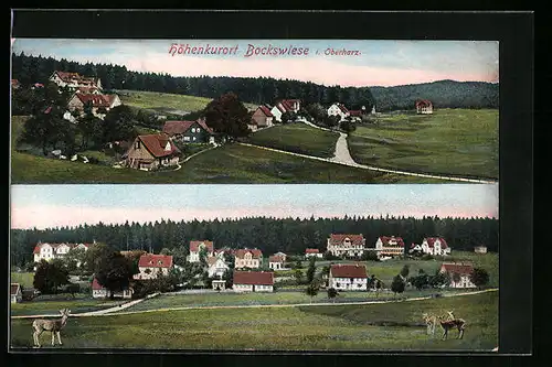 AK Bockswiese i. Harz, Teilansichten des Ortes