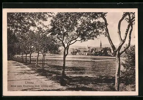 AK Löbau i. S., Blick vom Stadtberg nach Löbau