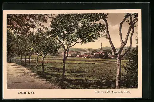 AK Löbau i. S., Strasse zur Stadt führend, Ort mit Kirche