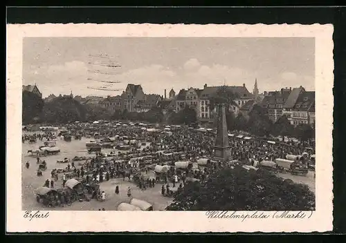 AK Erfurt, Wilhelmsplatz mit Markt