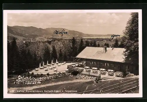 AK Rottach-Egern a. Tegernsee, Kaffee Alpenwildpark