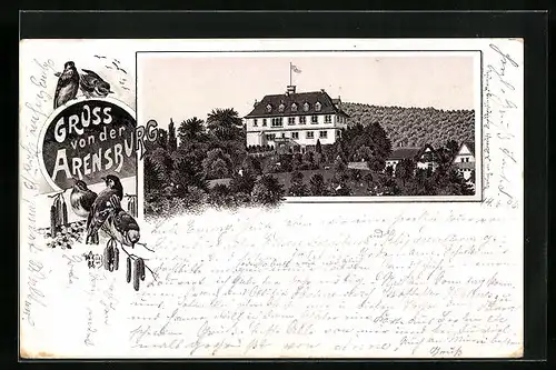 Lithographie Rinteln, Arensburg mit Singvögeln