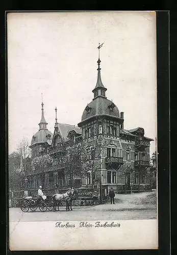 AK Kleinzschachwitz, Kurhaus und Kutsche