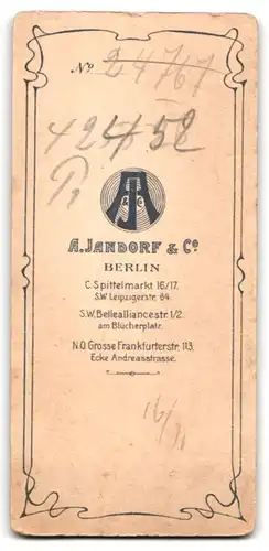 Fotografie A. Randorf & Co., Berlin, Spittelmarkt 16 /17, Junge Dame im Kleid mit Spitzenborte