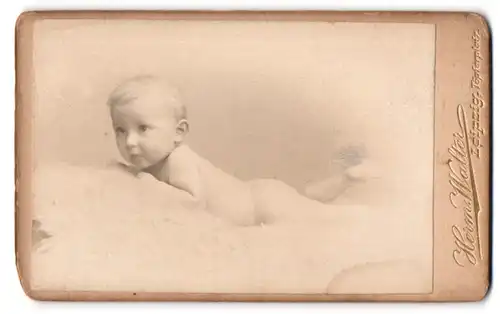 Fotografie Hermann Walter, Leipzig, Töpferplatz, Nacktes Baby, bäuchlings auf einem Fell