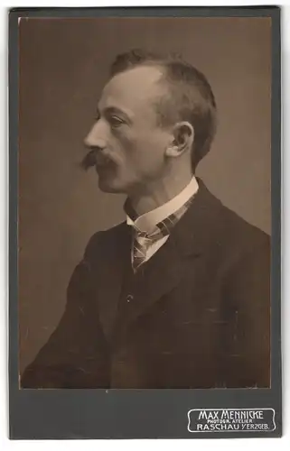 Fotografie Max Mennicke, Raschau i. Erzgeb., Portrait eines Herrn mit karierter Krawatte