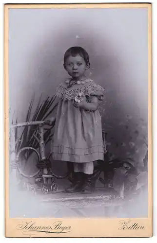 Fotografie Johannes Beyer, Zittau i. S., Lessing-Strasse 2, Süsses Kleinkind im Kleidchen
