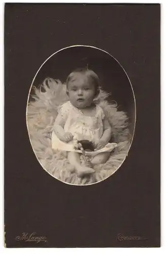 Fotografie M. Lange, Ort unbekannt, Süsses Baby auf einem Fell