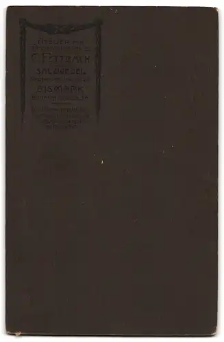 Fotografie C. Fettback, Salzwedel, Neuperverstr. 28, Ältere Dame im hübschen Kleid mit Buch