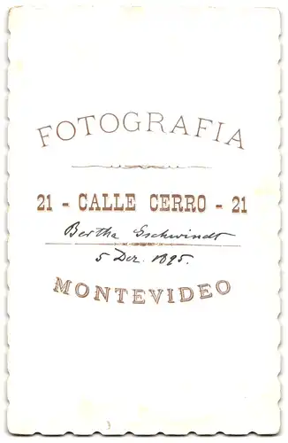 Fotografie Fotograf unbekannt, Montevideo, Calle Cerro 21, Portrait Bertha Gschwinder im Kleid mit Brosche 1895