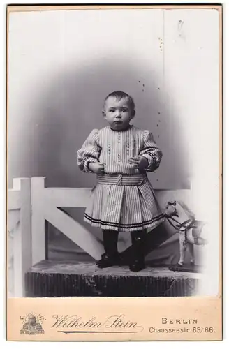 Fotografie Wilhelm Stein, Berlin, Chausseestr. 65 /66, Kleinkind im gestreiften Kleid mit Spielzeugpferd steht auf Bank