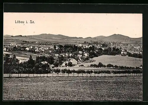 AK Löbau /Sa., Gesamtansicht mit Allee