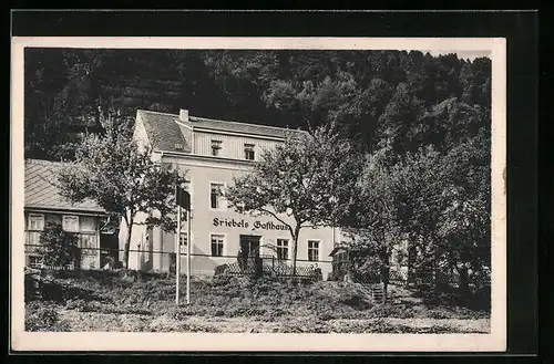 AK Bad Schandau, Friebel`s Gasthaus in Postelwitz