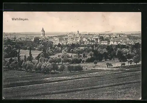 AK Waiblingen, Gesamtansicht mit Feldern