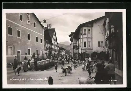 AK Mittenwald, Zurück von der Alm