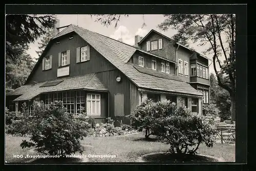 AK Waldidylle /Osterzgebirge, HOG Erzgebirgsbaude, Frontansicht mit Aussenbereich