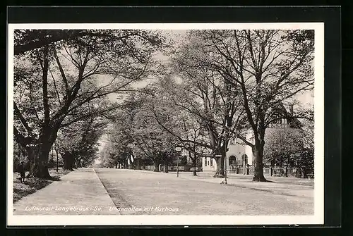 AK Langebrück i. Sa., Lindenallee mit Kurhaus