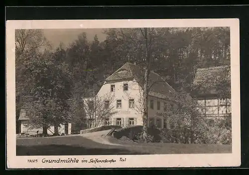 AK Grundmühle im Seifersdorfer Tal, Strassenpartie mit Gebäuden