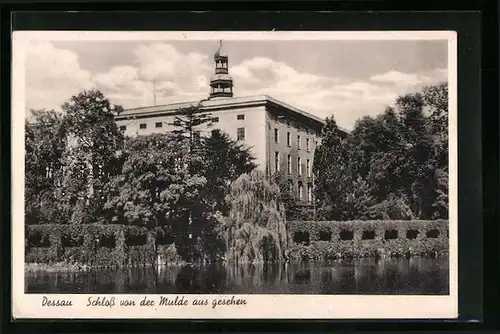 AK Dessau, Schloss aus Sicht von der Mulde